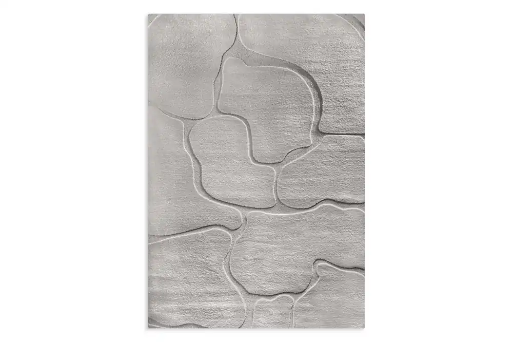 Alba5 szürke szőnyeg Ezüst 200x290 cm Végkiárusítás