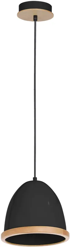 Függőlámpa STUDIO BLACK MLP8852 1x60W/E27 IP20 a Milagro-tól Outlet