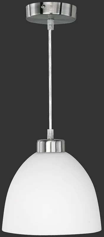 Függőlámpa DALLAS R32171007 1x60w/e27 ip20 a Trio-tól Azonnal elérhető